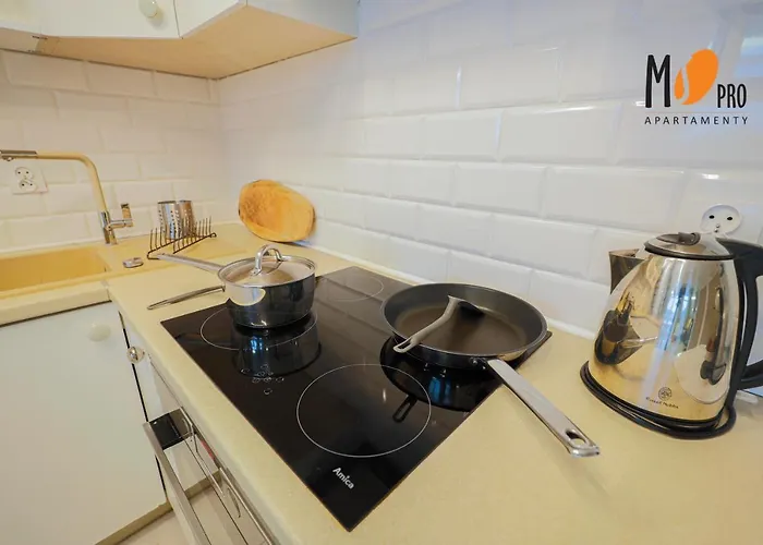 Loftowe By Ms Pro Apartment *