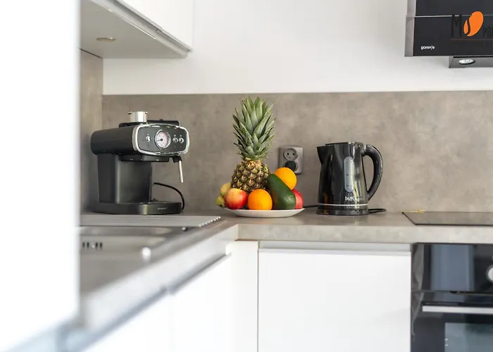 Loftowe By Ms Pro 公寓